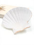 white deep scallop shell half for candles, jewellery holder, decor, craft projects